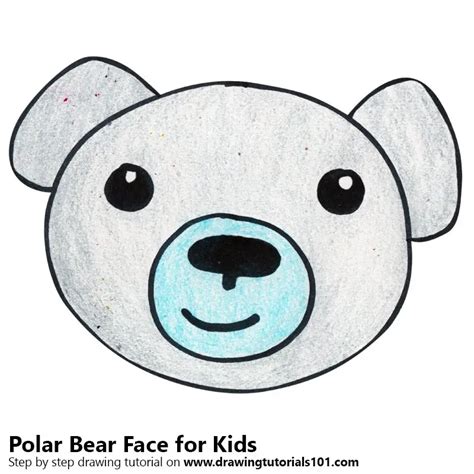 Polar bear face template drawing tutorial