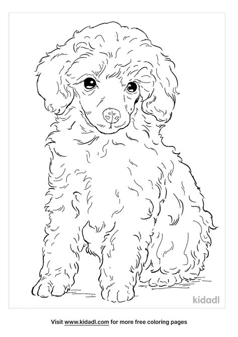 Poodle Coloring Page