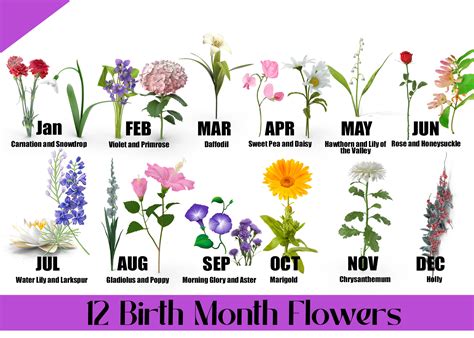 Popular birth flowers