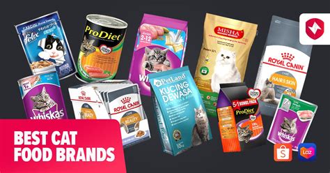 Popular cat food brands with free coupons printable