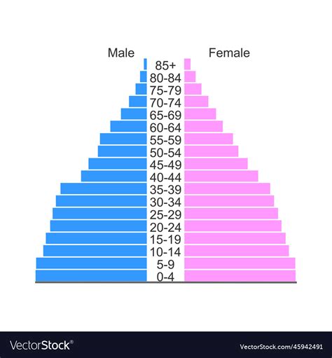 Population Age Pyramid