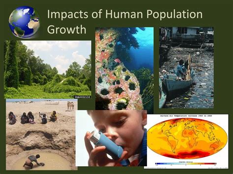 Population growth and environmental impact