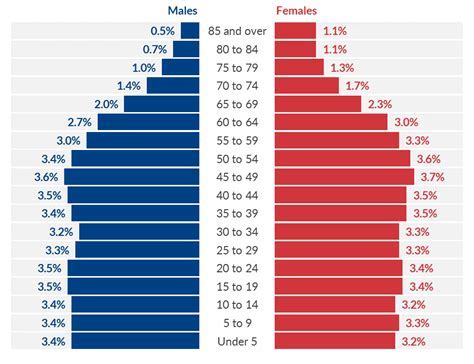 Population pyramid bar chart