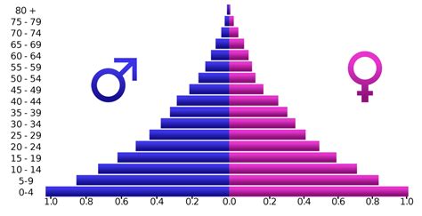 Population pyramid data