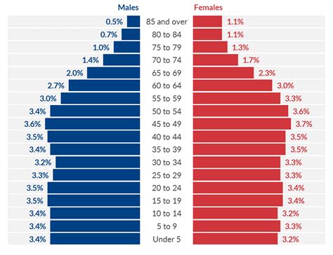 Population Pyramid Data