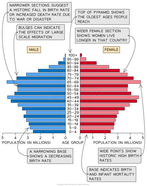 Population Pyramid Example 1