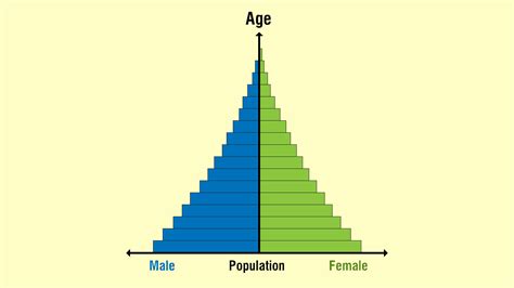 Population Pyramid Example 8