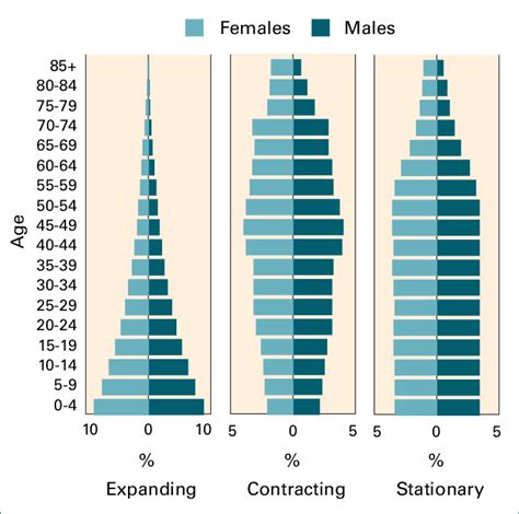 Population Pyramid Example 3