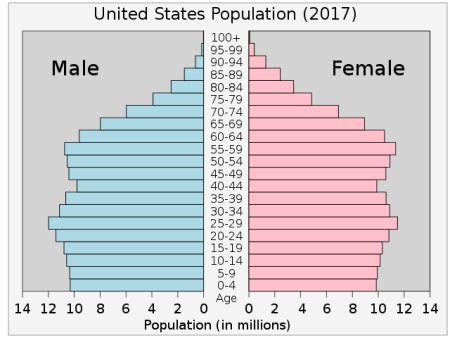 Population Pyramid Example 8