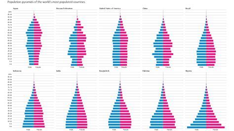 Population Pyramid Generator Excel Add-in