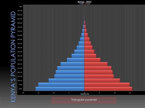 Population Pyramid Template