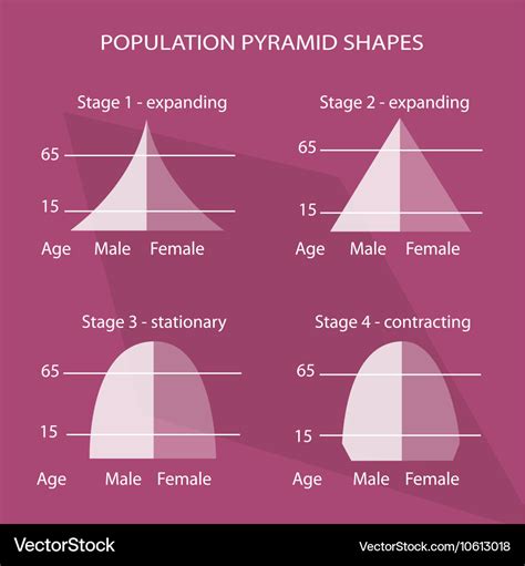 Types of Population Pyramids