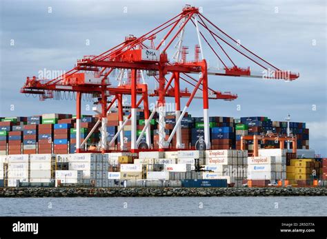 View of the Port of Halifax's cranes