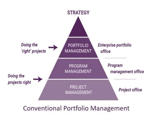 Portfolio Strategy