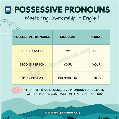 Possessive Pronouns in English