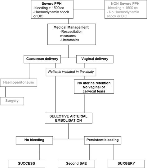 Postpartum hemorrhage treatment