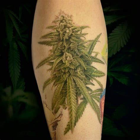 Pot Leaf Tattoo Design