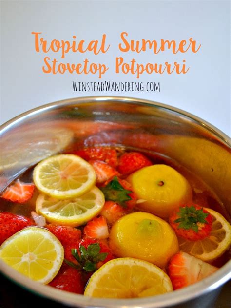 Stove Top Potpourri Summer