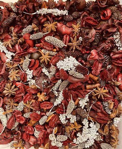 Stove Top Potpourri Winter