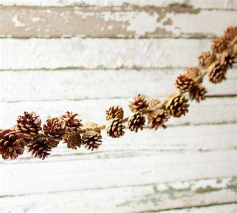 Pinecone and Twine Garland