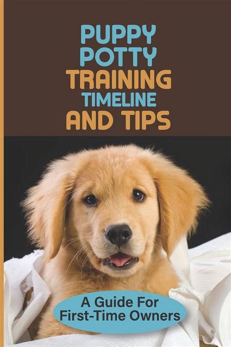 Potty Training Timeline Image