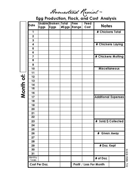 Poultry Egg Production Template