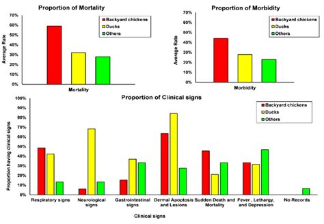 Poultry Mortality Rate Template