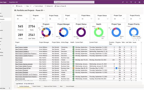 Power BI RVM Report