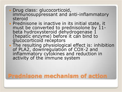 How prednisone works