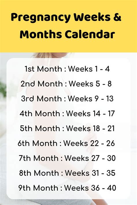 Pregnancy Calendar