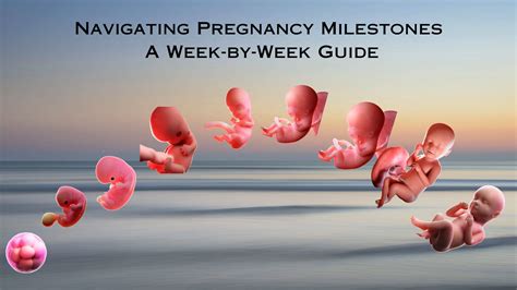 Pregnancy milestones gallery 1