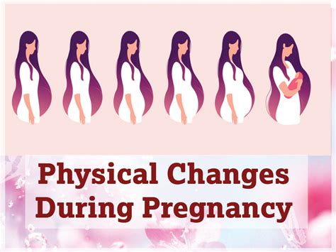 Pregnancy Physical Changes