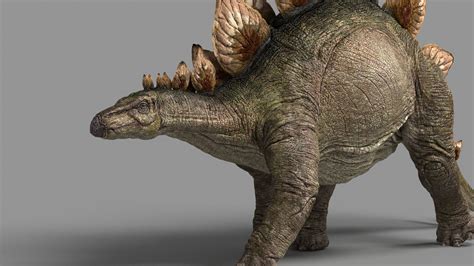 Description of Stegosaurus