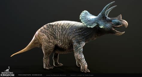 Description of Triceratops