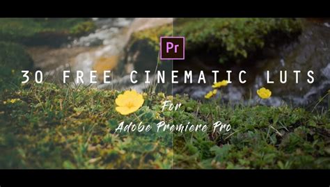 Premiere Pro Template LUTs