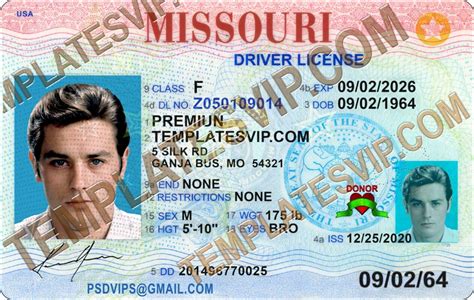 Premium Driver's License Template