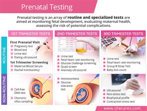 Prenatal Testing and Counseling