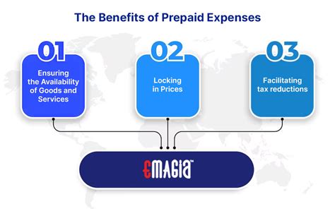 Prepaid Expense Analysis