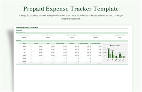 Prepaid Expense Macro Format