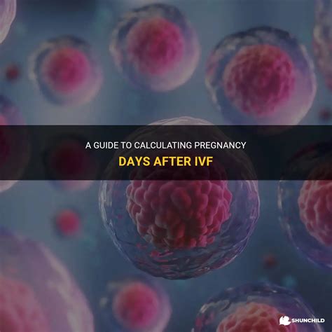 Preparing for Pregnancy After IVF