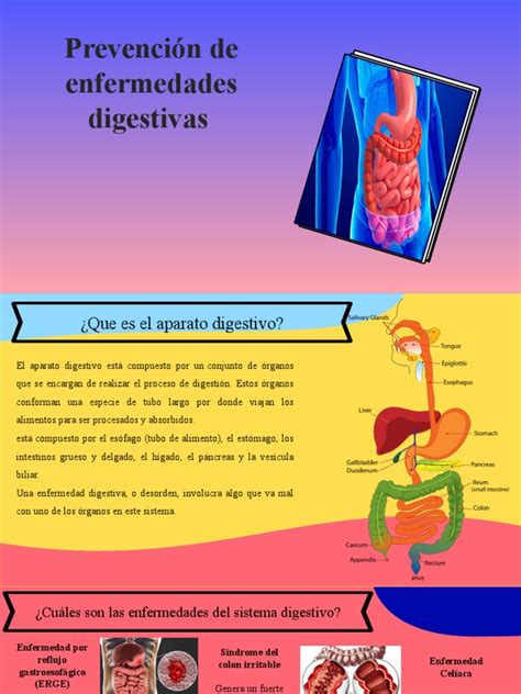 Prevención gastroenterológica