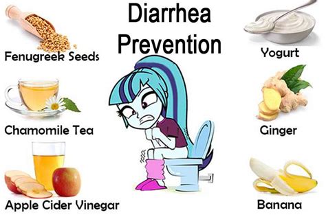 Description of Preventing Diarrhea