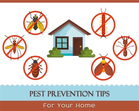 Preventing Pest Infestations