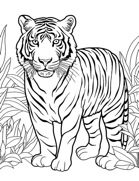 Animal Portrait Coloring Page