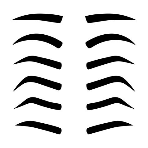 Arched Eyebrow Template