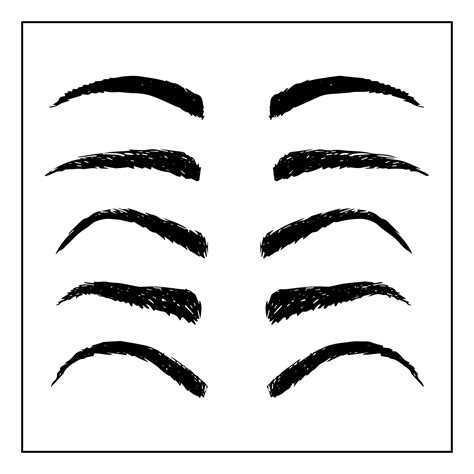 Eyebrow Template for Round Face