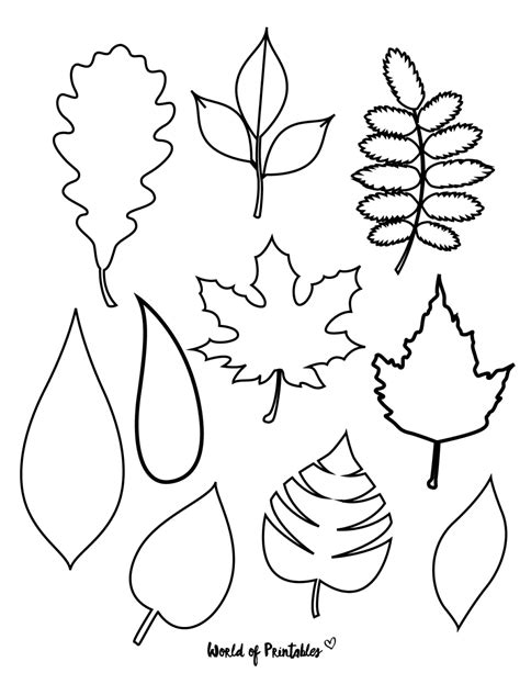 A printable leaf template