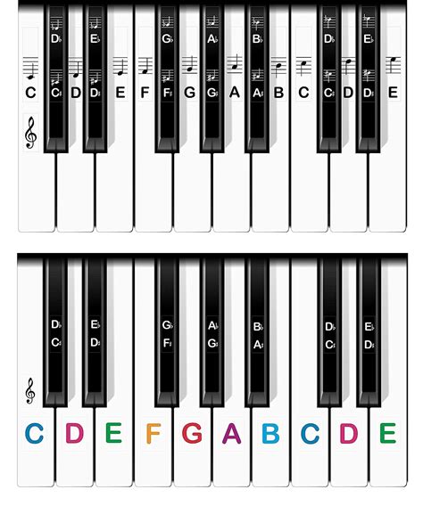 Printable Piano Key Labels for Adults