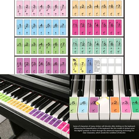 Printable Piano Key Labels for Music Education