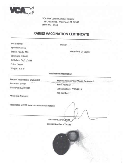 Printable Rabies Certificate Sample